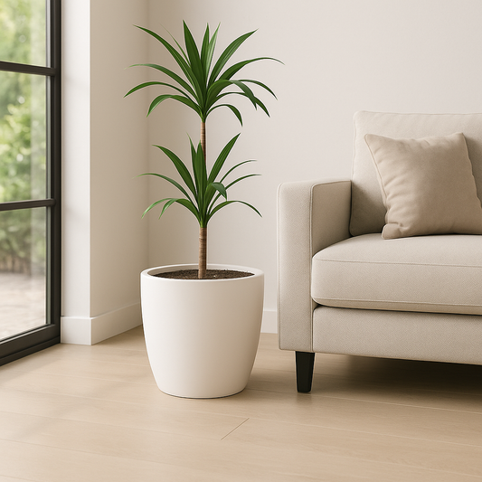 FORMA PLANTER