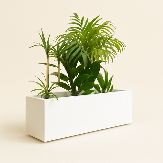 Austrian Artisan RectaFrame architectural fiberglass planter with sleek, modern design and smooth finish.